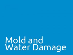 Mold_and_Water_Damage